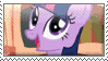 mlp6